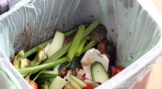 Food Waste Recycling