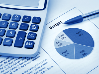 budget survey