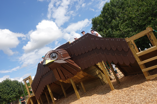 The Sparrowhawk has landed