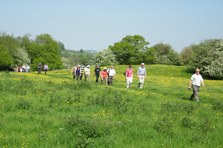 Archaeology walk at Calke Abbey