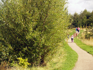 Cycling at Swadlincote Woodlands