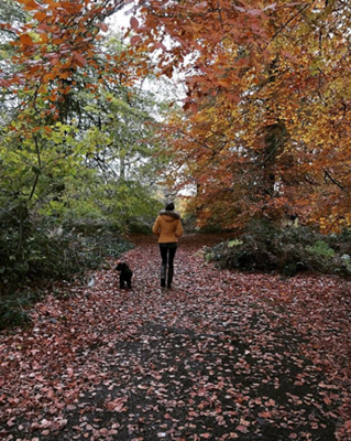 Winter Walks