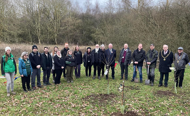 tree planting