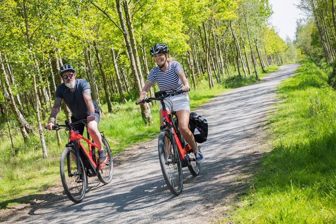 ebikes