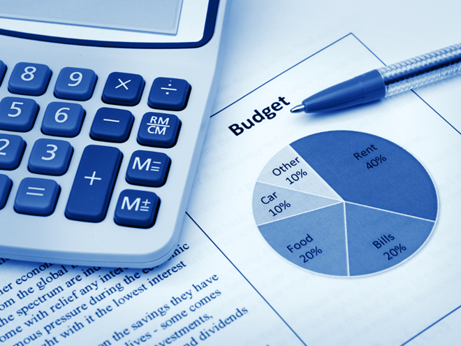 budget survey