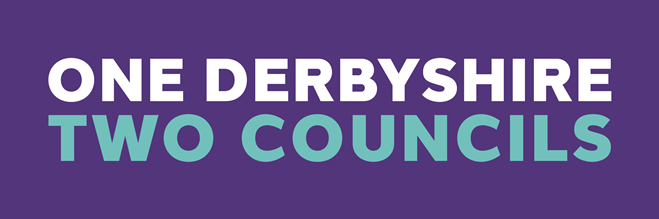 One Derbyshire, Two Councils - LGR strapline