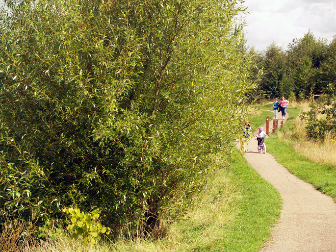 Cycling at Swadlincote Woodlands
