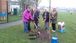 Newhall park planting 2017 