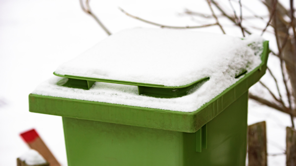 Bin collections - snow