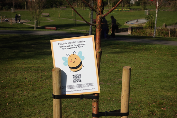 ‘No Mow’ is no accident: It’s part of a Greener Future for Wildlife! 