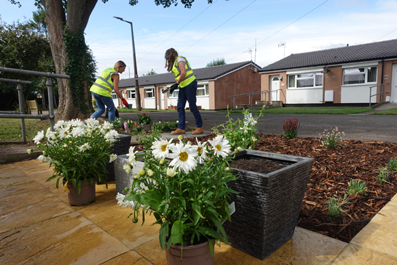 Can You Dig It? Housing Gardening Competition 2026 Open 🌱