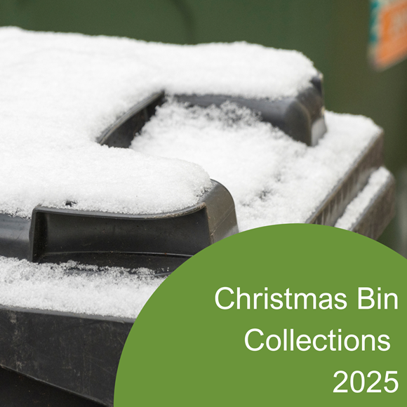 Christmas Bin Collections 