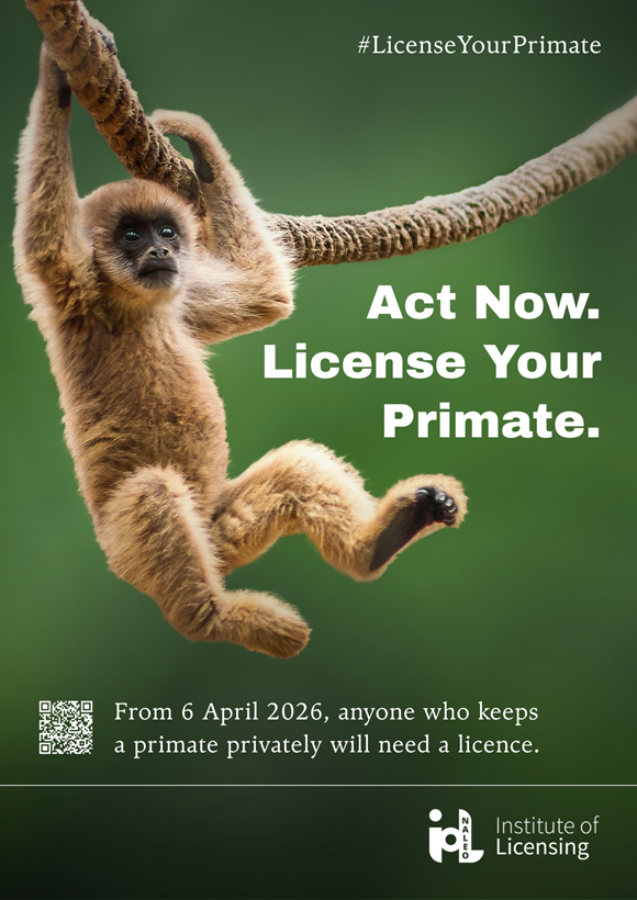 New licensing requirements for keeping primates from April 2026