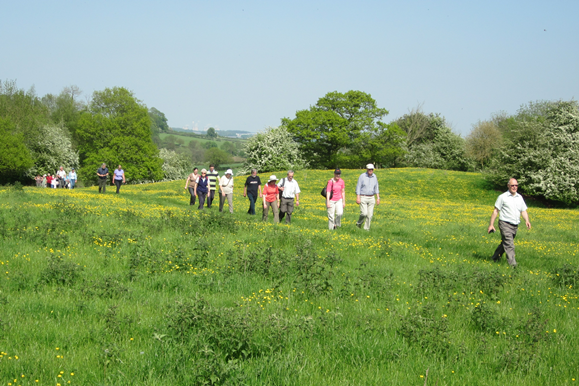 Archaeology walk at Calke Abbey