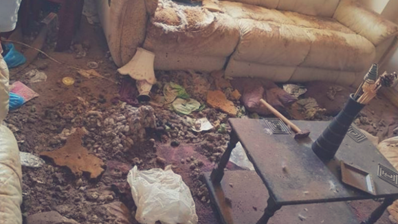 animal neglect