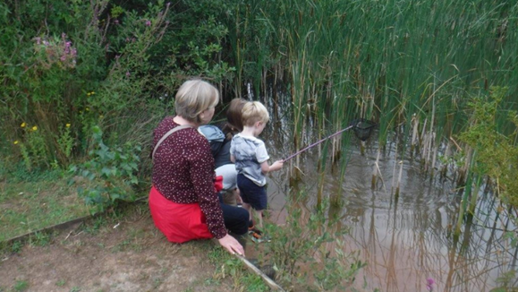 Wildlife Watch