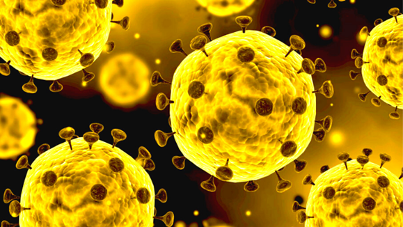 coronavirus