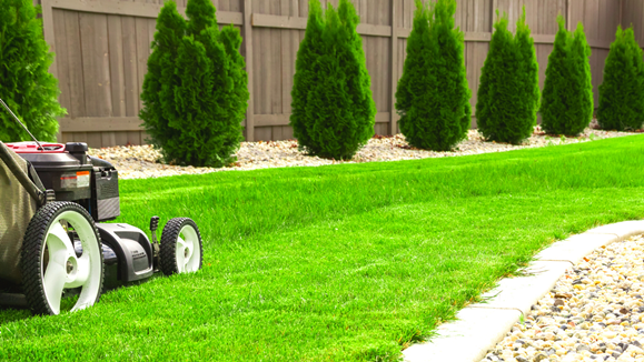 grass