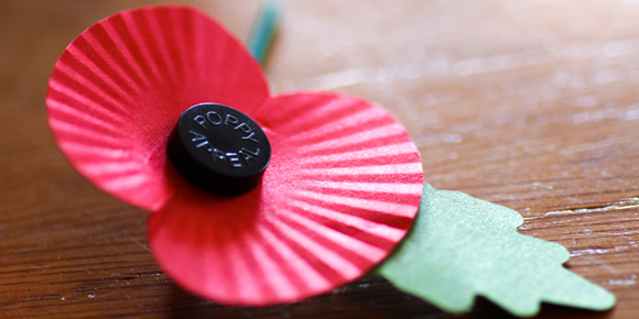 Remembrance poppy