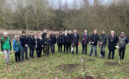 tree planting