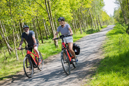 ebikes