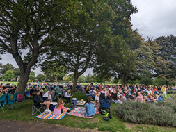 Music in the Park crowd scene