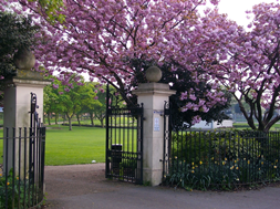 Maurice Lea Park entrance