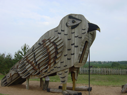 Owl at Rosliston Forestry Centre