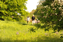 Walking
