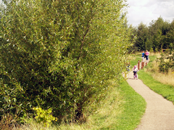 Cycling at Swadlincote Woodlands