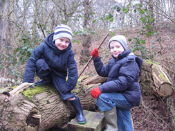 Fun in the woods