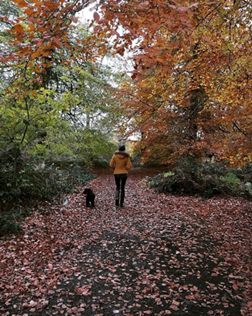 Winter Walks