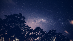 Nightwatch