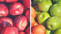 orchard day