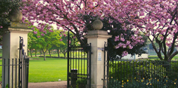 parks