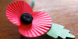 Remembrance poppy