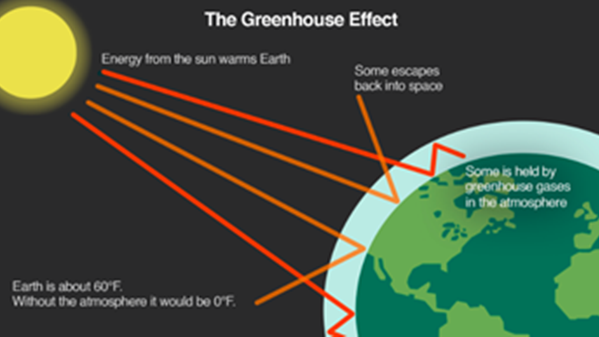 Greenhouse Effect
