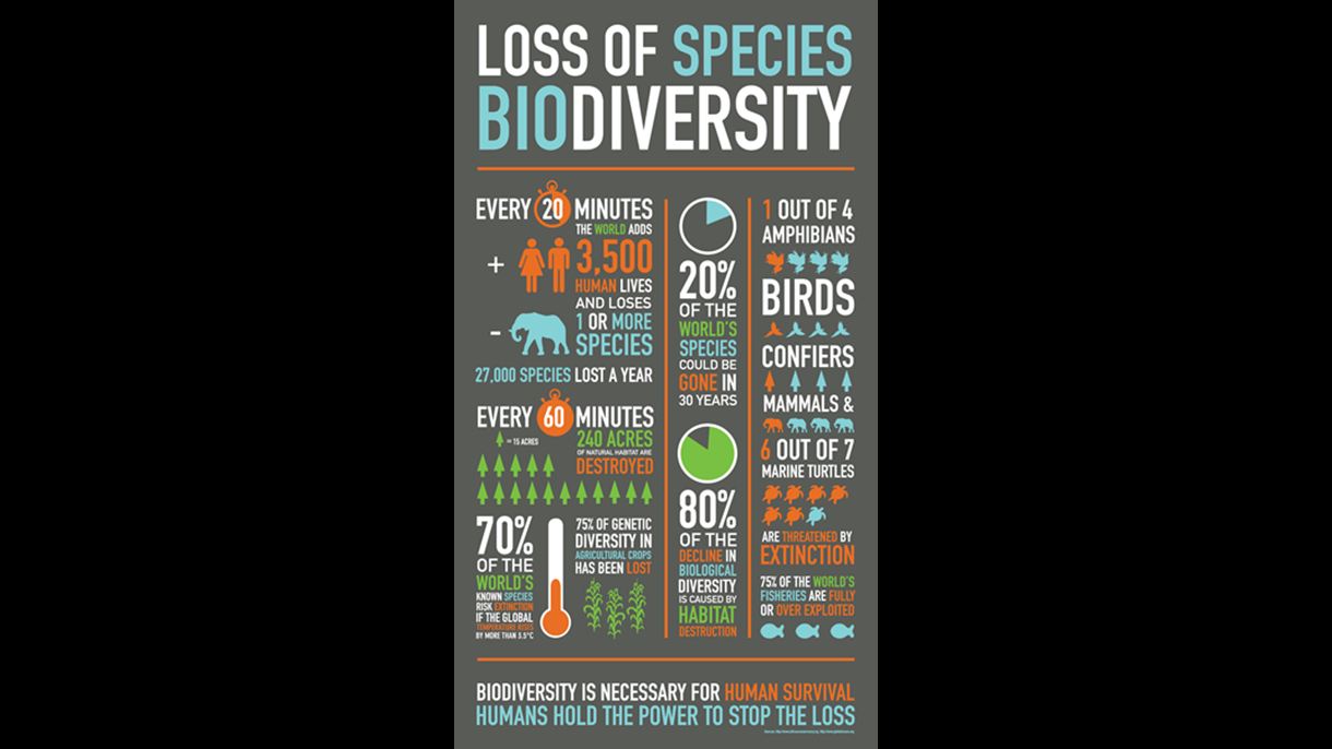 Loss of biodiversity