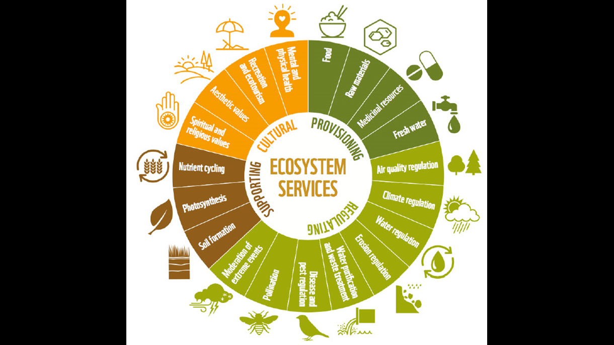 ecosystems 2