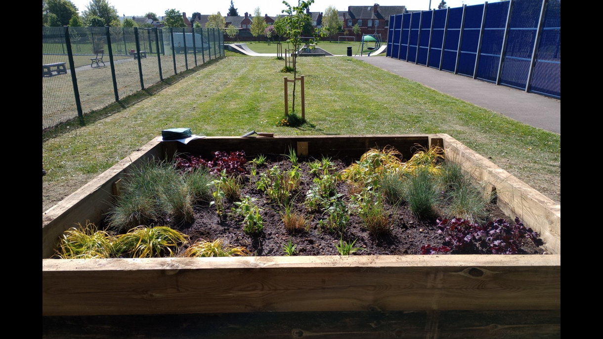 Newhall Park new planter 2025