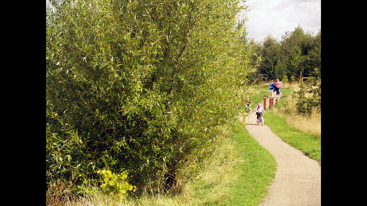 Cycling at Swadlincote Woodlands