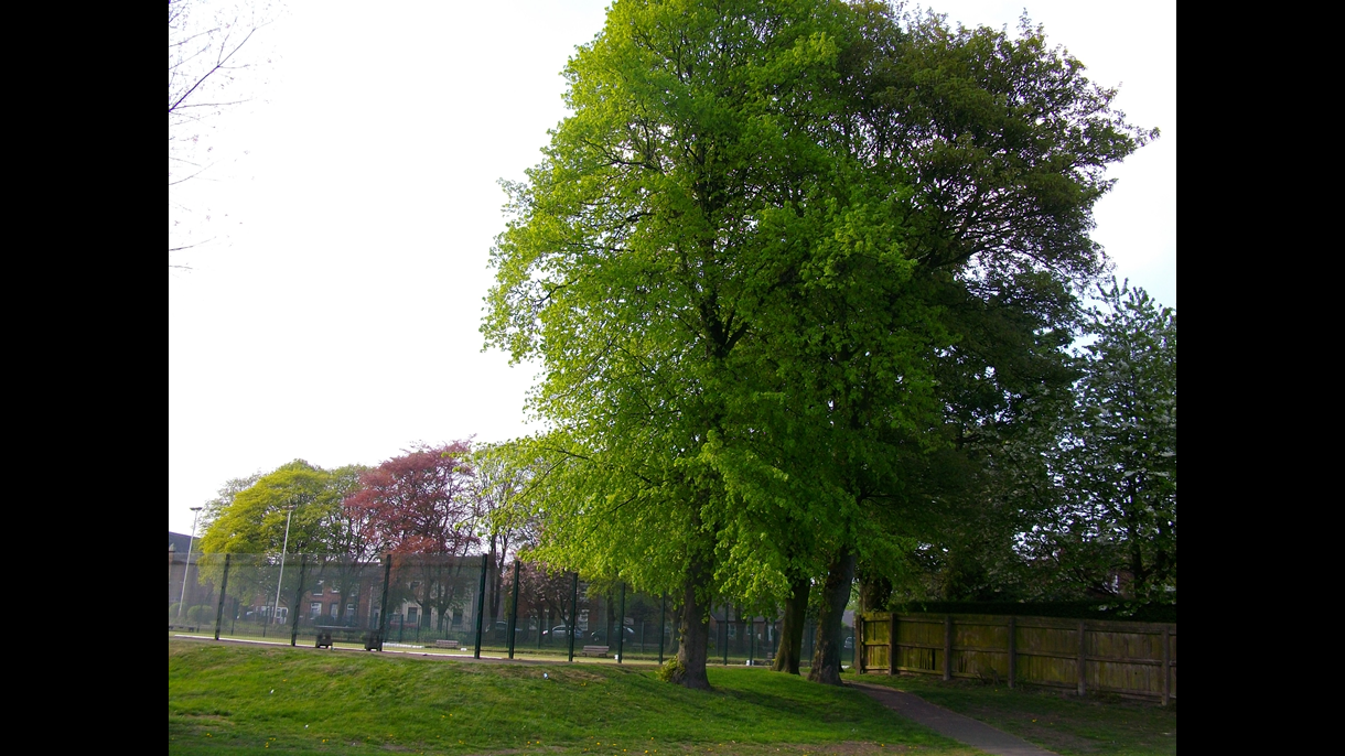 Games area
