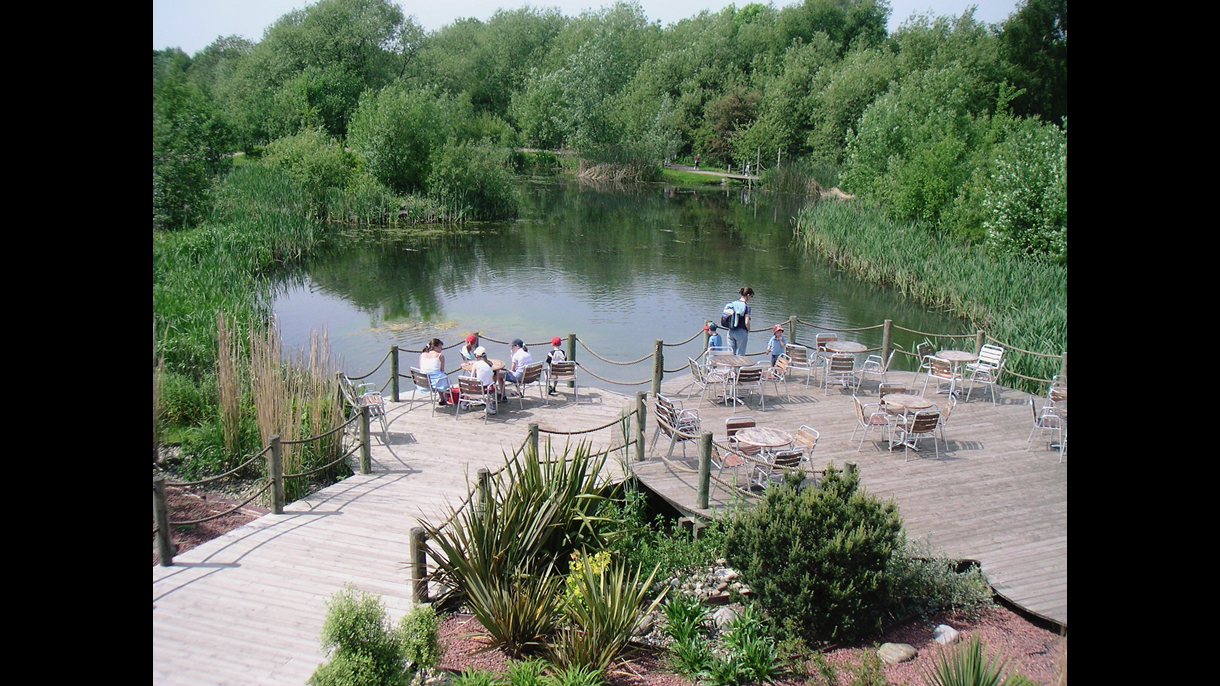 Conkers waterside