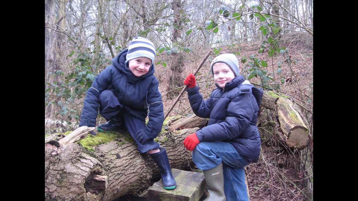 Fun in the woods