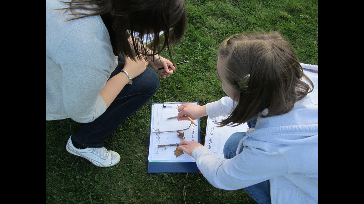 Plant and wildlife surveys
