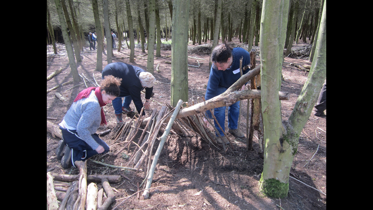 Shelter building
