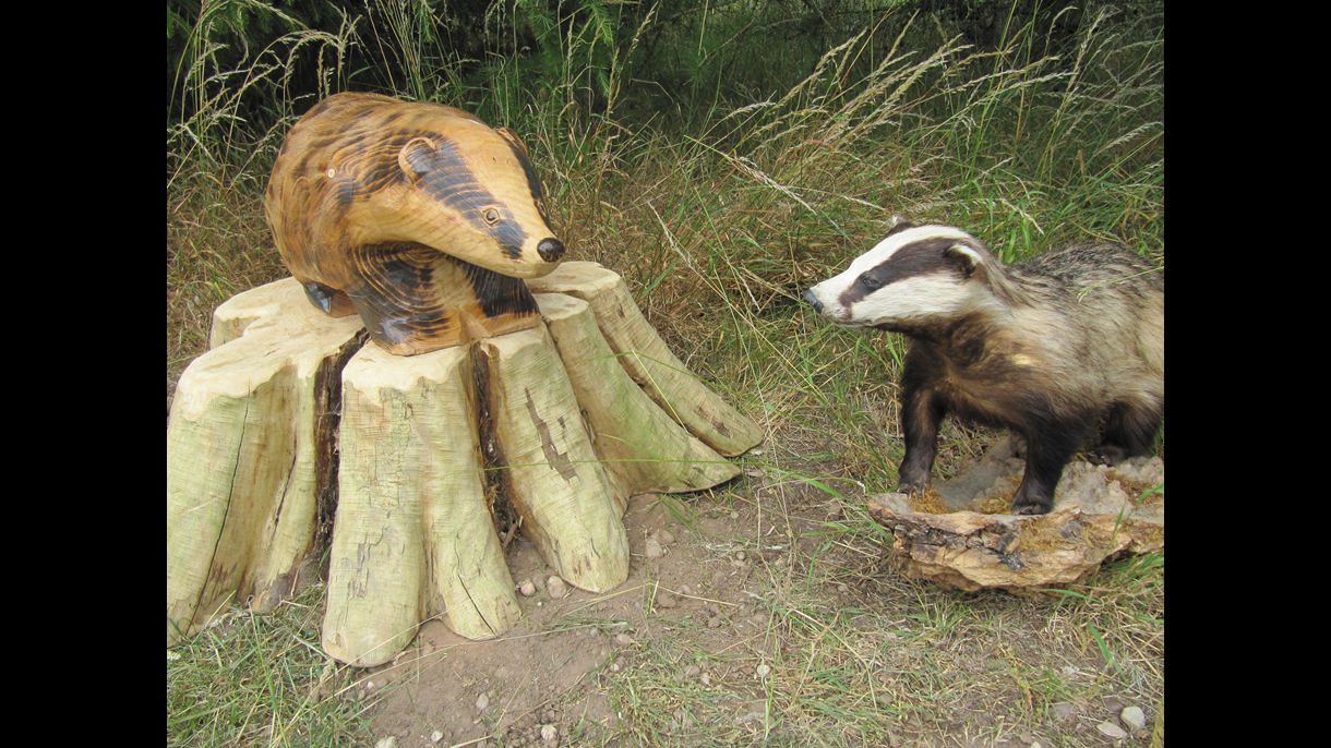 Roger meets badger
