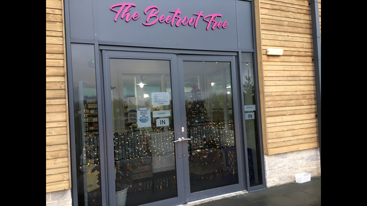 The Beetroot Tree, Mercia Marina 